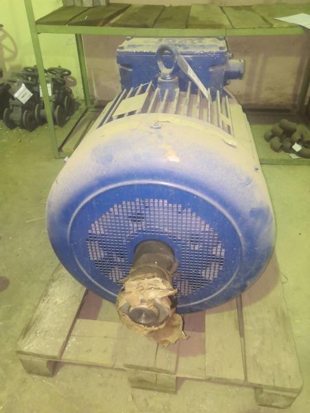 Э/двигатель 4МТМ280S6 75/955 IM1003